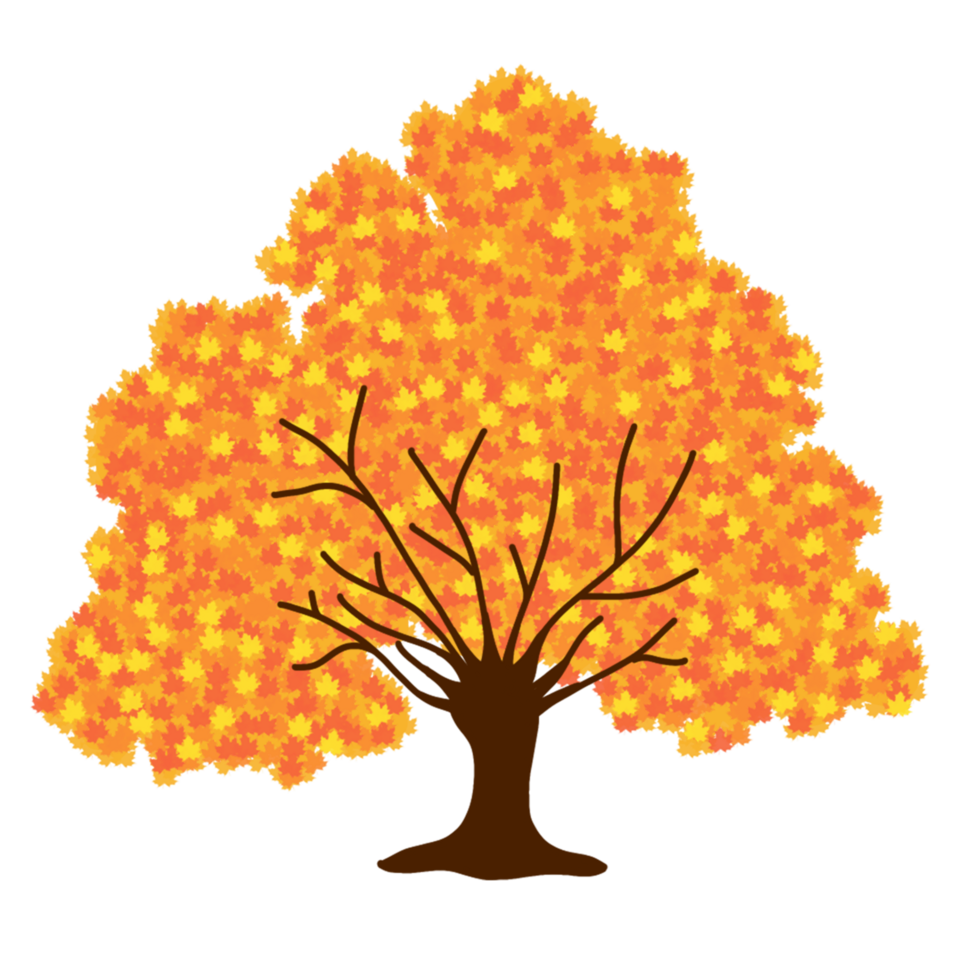 mano dibujado arce árbol png