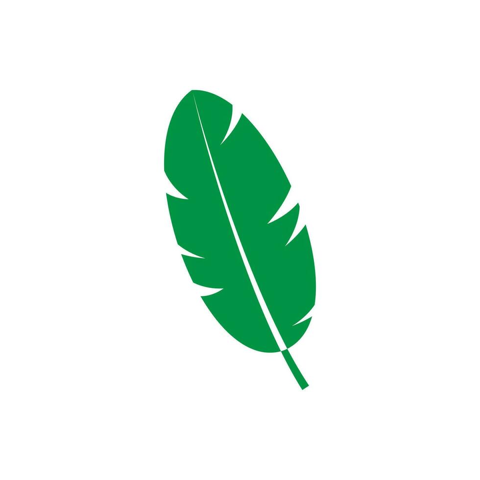 Green leaf vector icon. botany illustration sign . ecology symbol. eco sign.