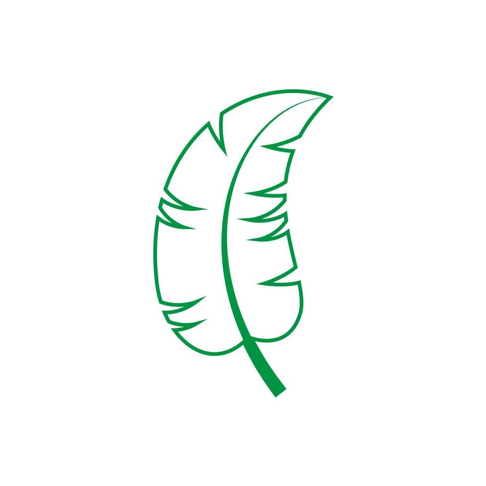 Green leaf vector icon. botany illustration sign . ecology symbol. eco sign.