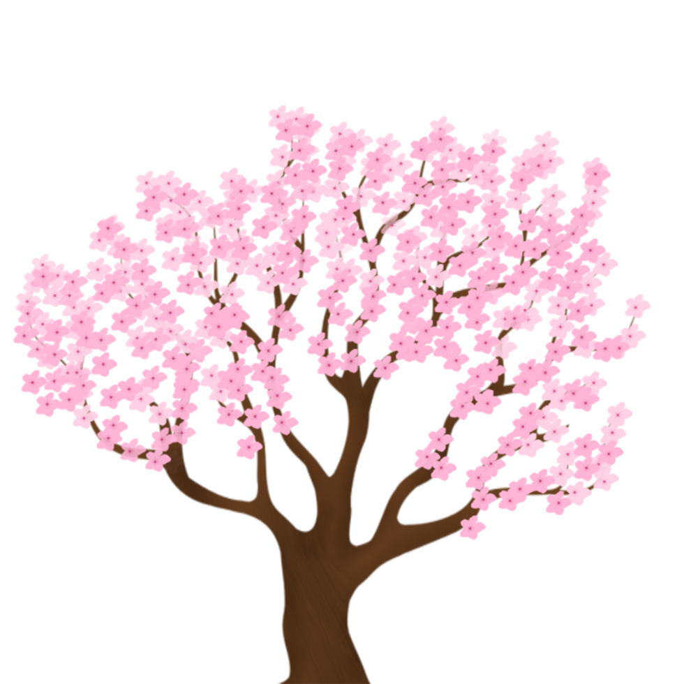 hand drawn sakura blossom png