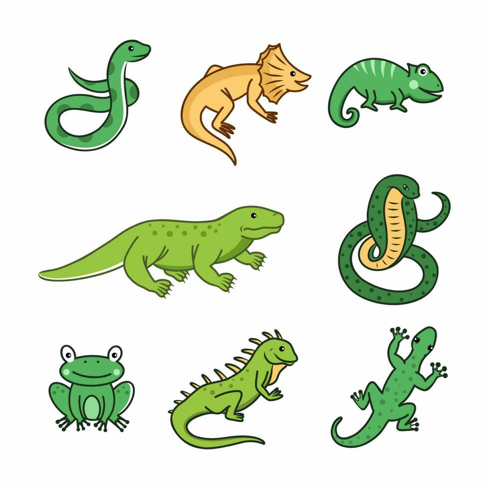 Animal Reptil: Fascinantes Criaturas del Mundo Salvaje