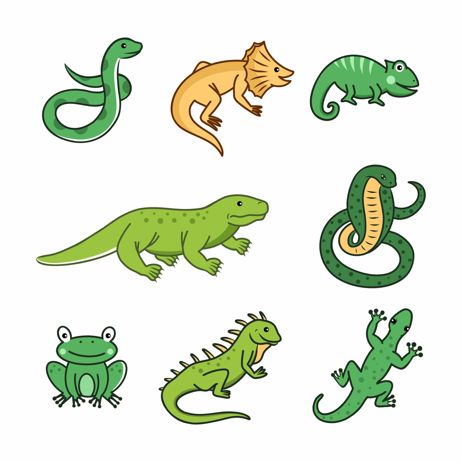Sketches: Reptiles 1 by Manfred Rohrer on Dribbble