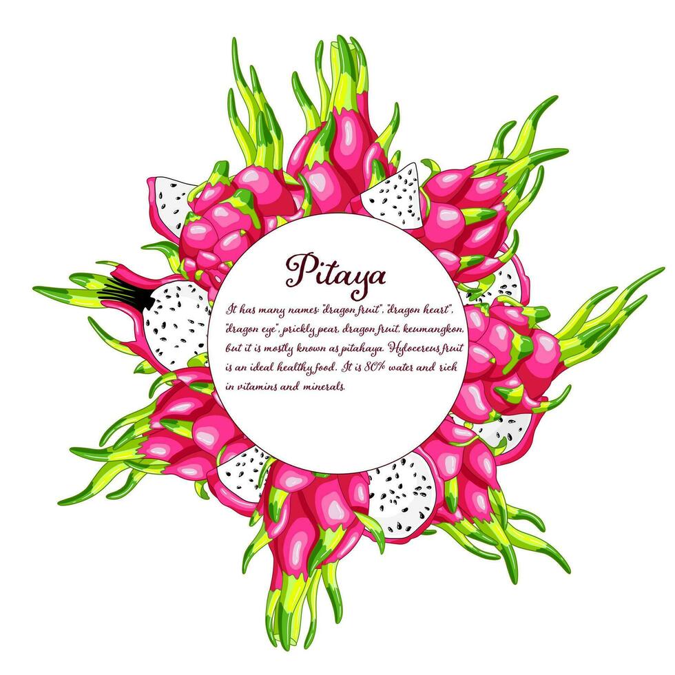 Dragon fruit tasty circle frame. Sweet dessert of tropical cactus. Exotic pitaya design. Fresh pitahaya exotic food. Pink juicy slices of vitamin vector