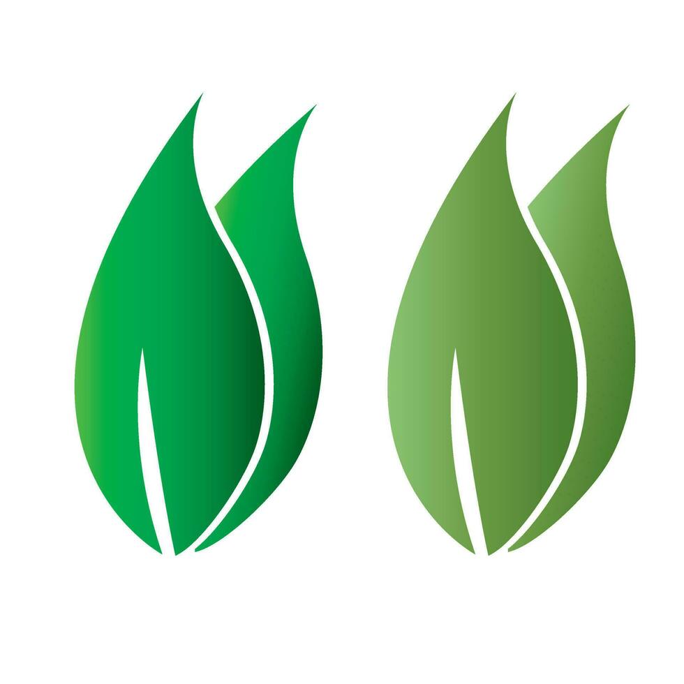 Leaf - Vector Leaf