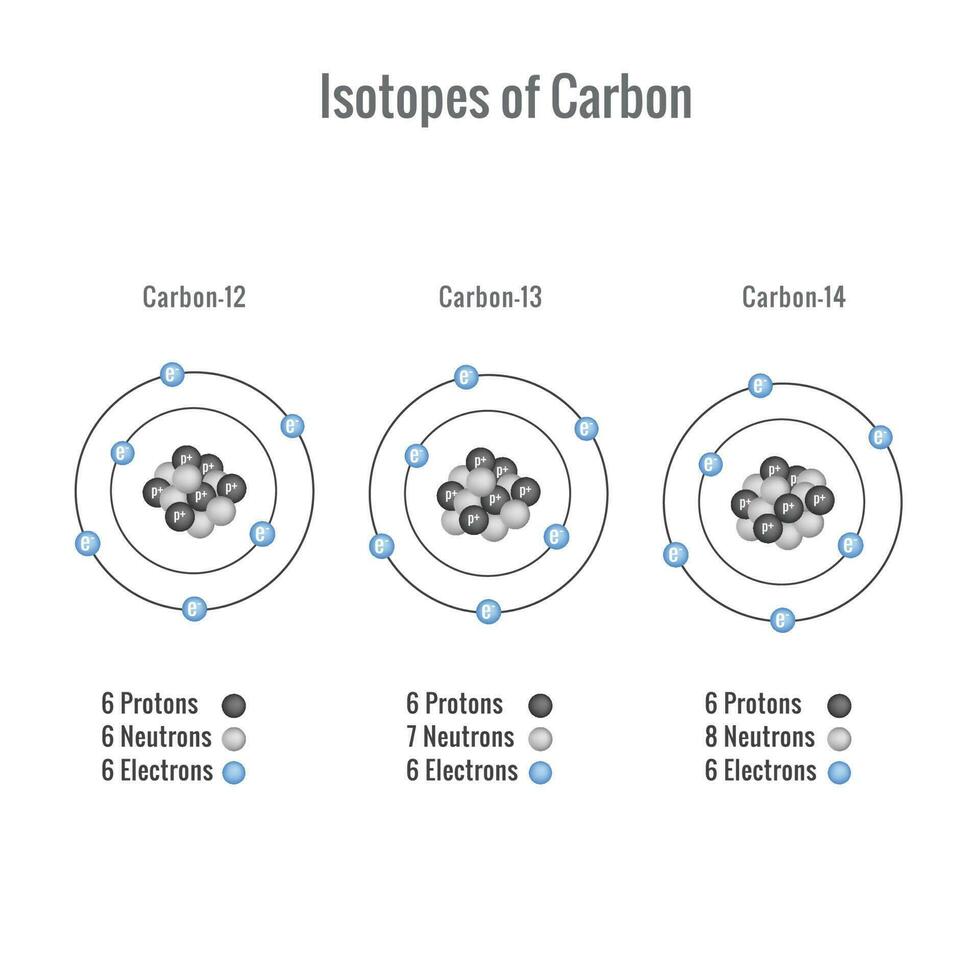 Isotopes of Carbon vector illustration