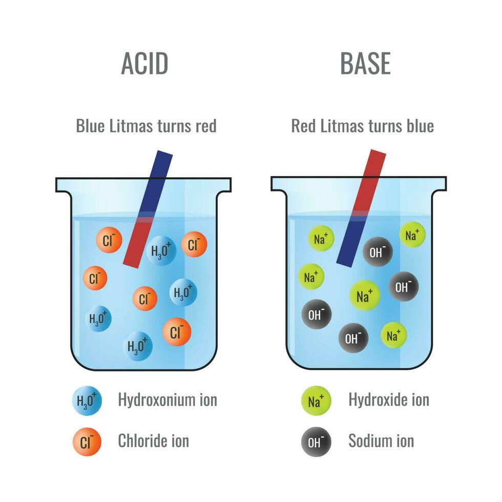 Litmus paper test of Acid and Base in Chemistry Laboratory vector