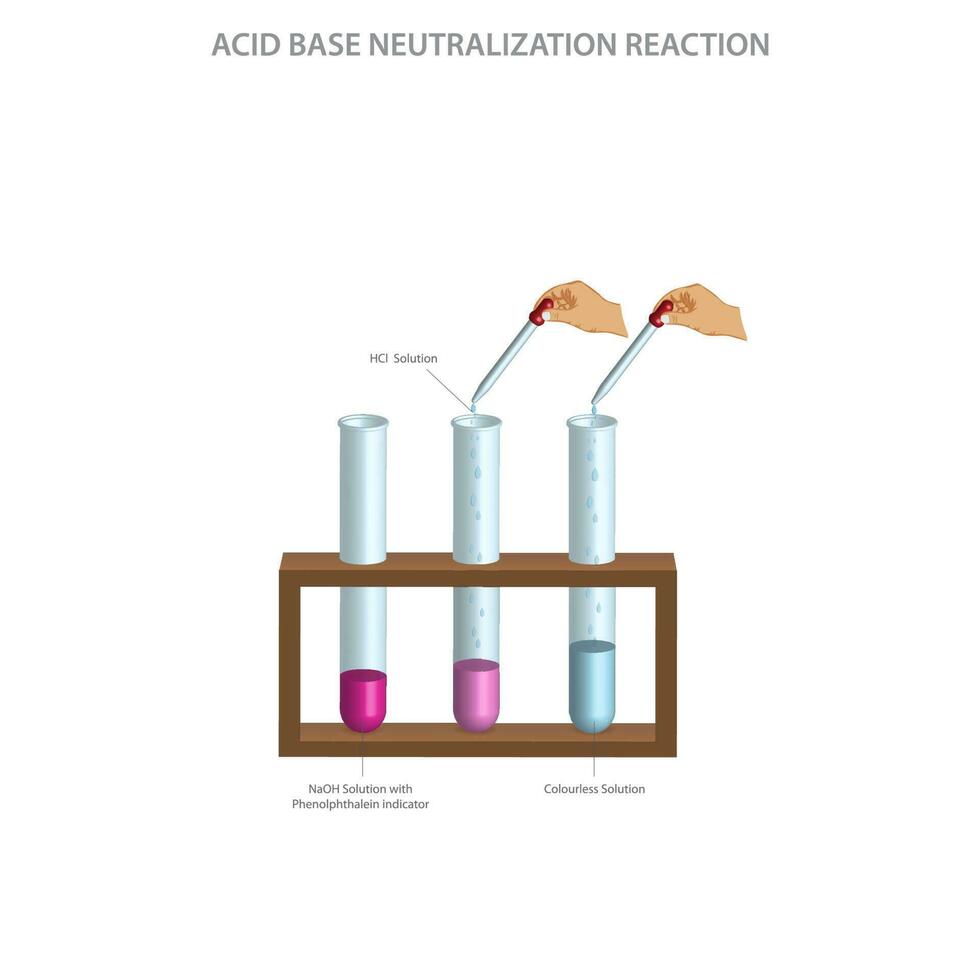 Acid-base neutralization forms salt and water, neutralizing acidic or basic solutions vector