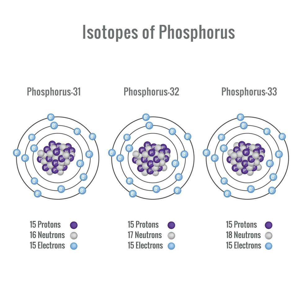 Isotopes of Phosphorus atom vector illustration