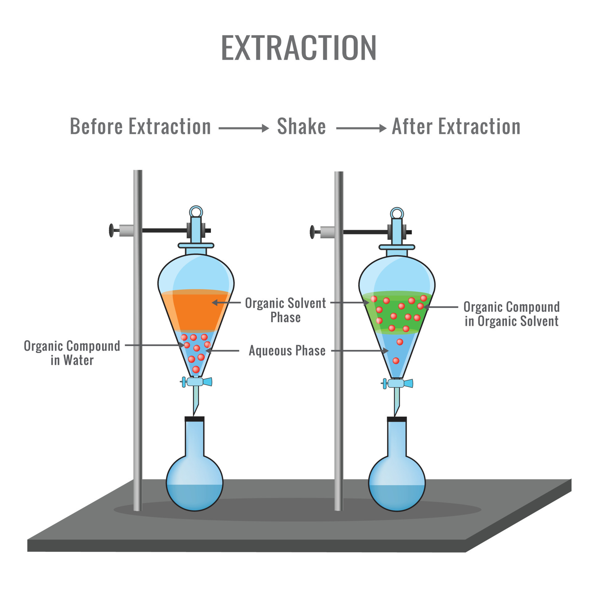 Chemical extraction of organic compound from water solution to organic solvent 23452895 Vector