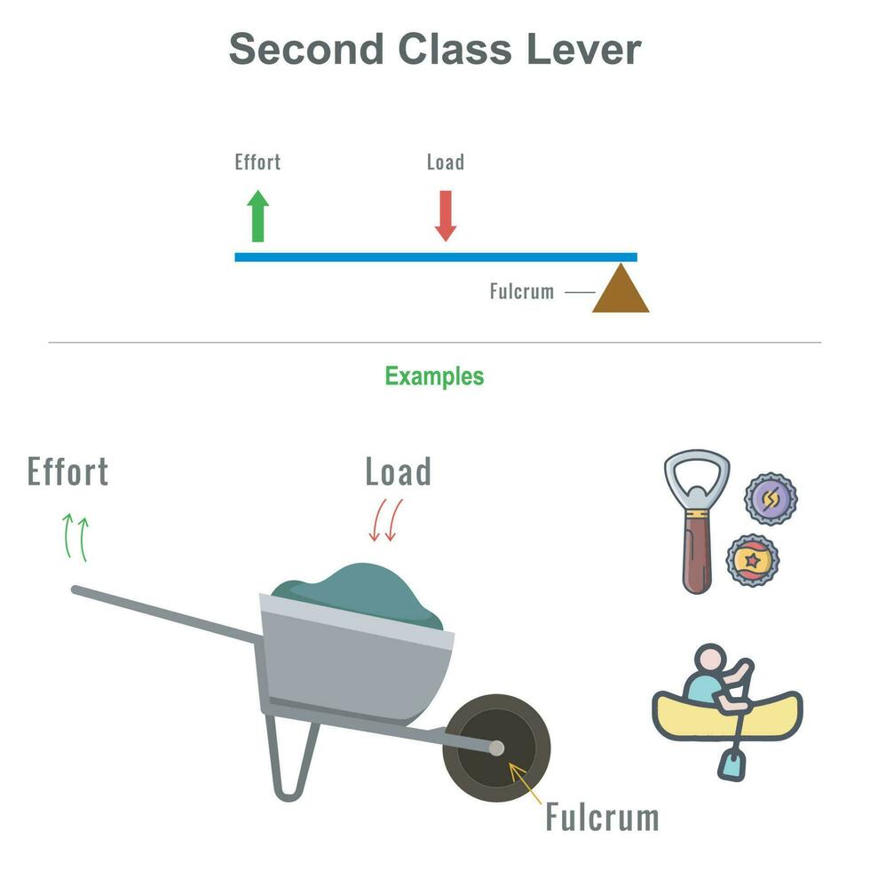 Second class lever with example vector illustration