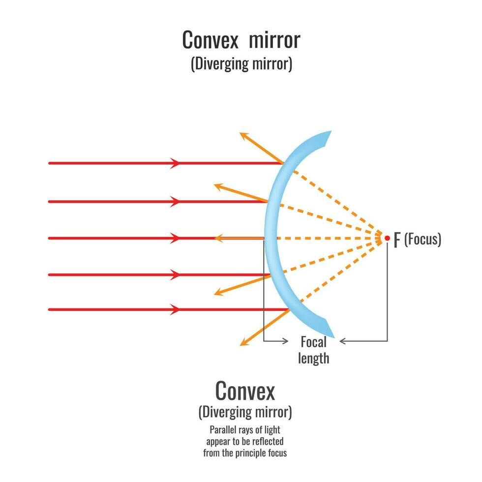 Reflection of light on convex mirror vector