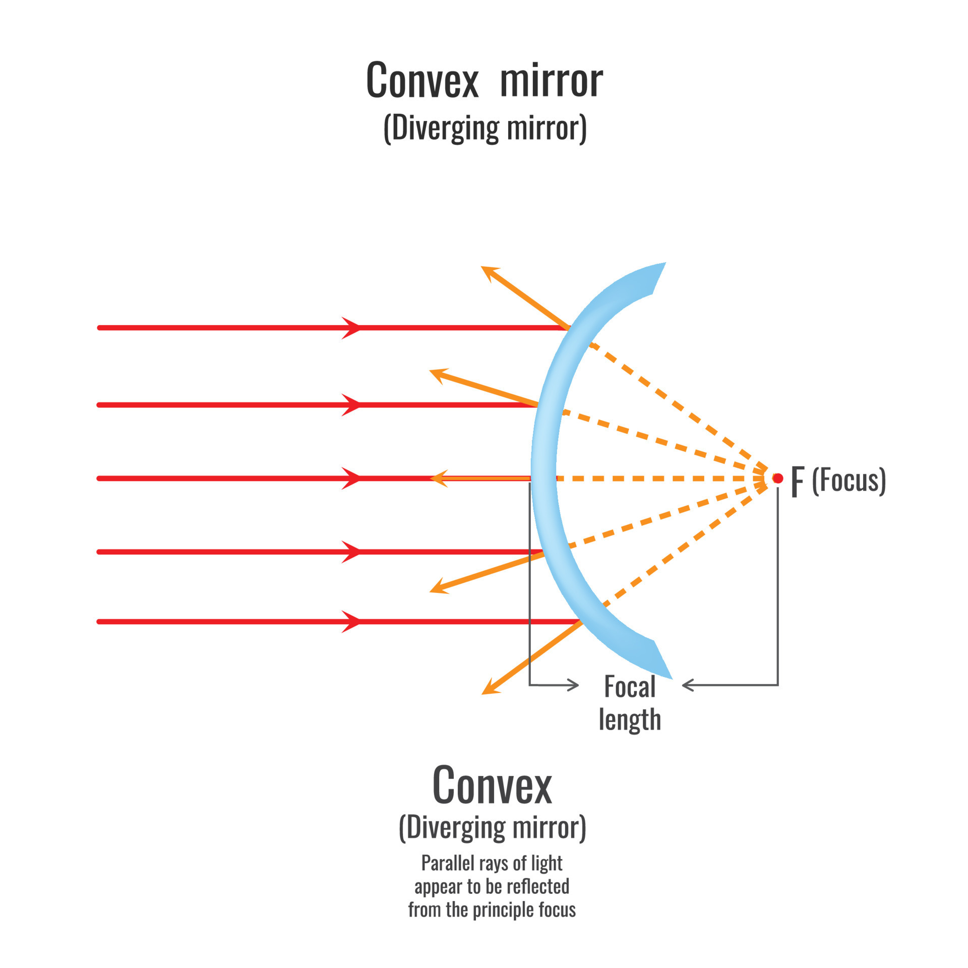 Mirror reflection light