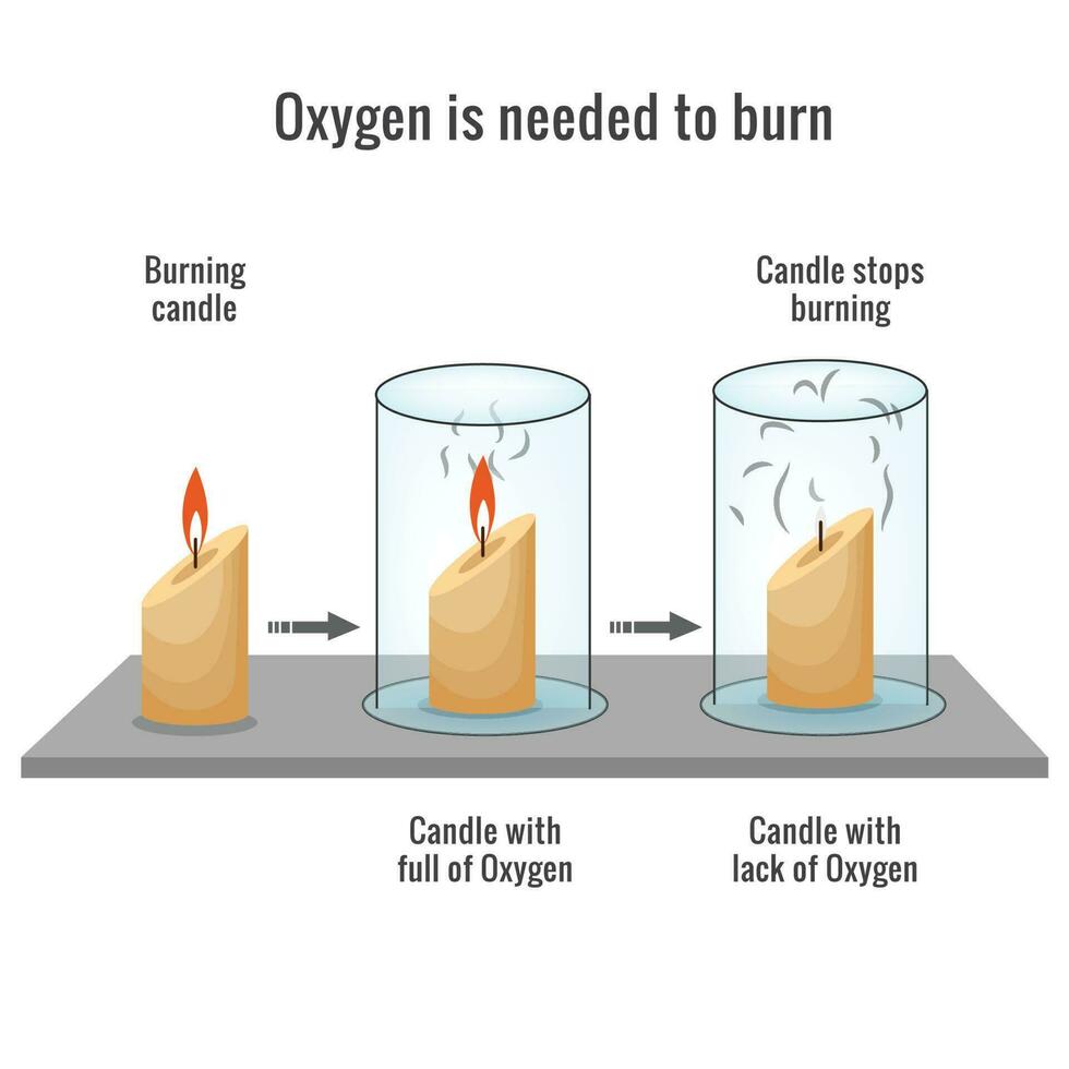 Oxygen is needed for burning a candle vector