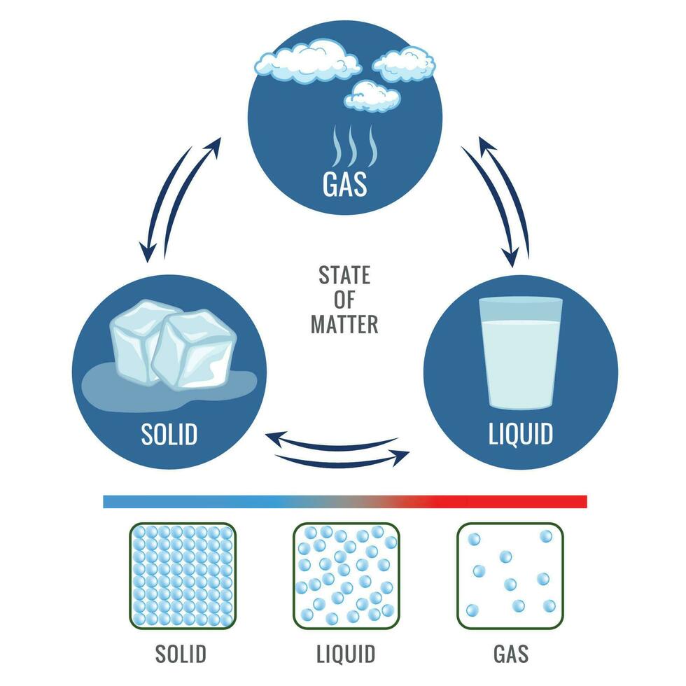 Three different States of matter solid liquid and gasuas state vector illustration
