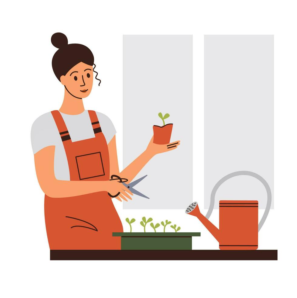 Woman cuts fresh herbs growing at home vegetable garden. Vector illustration.