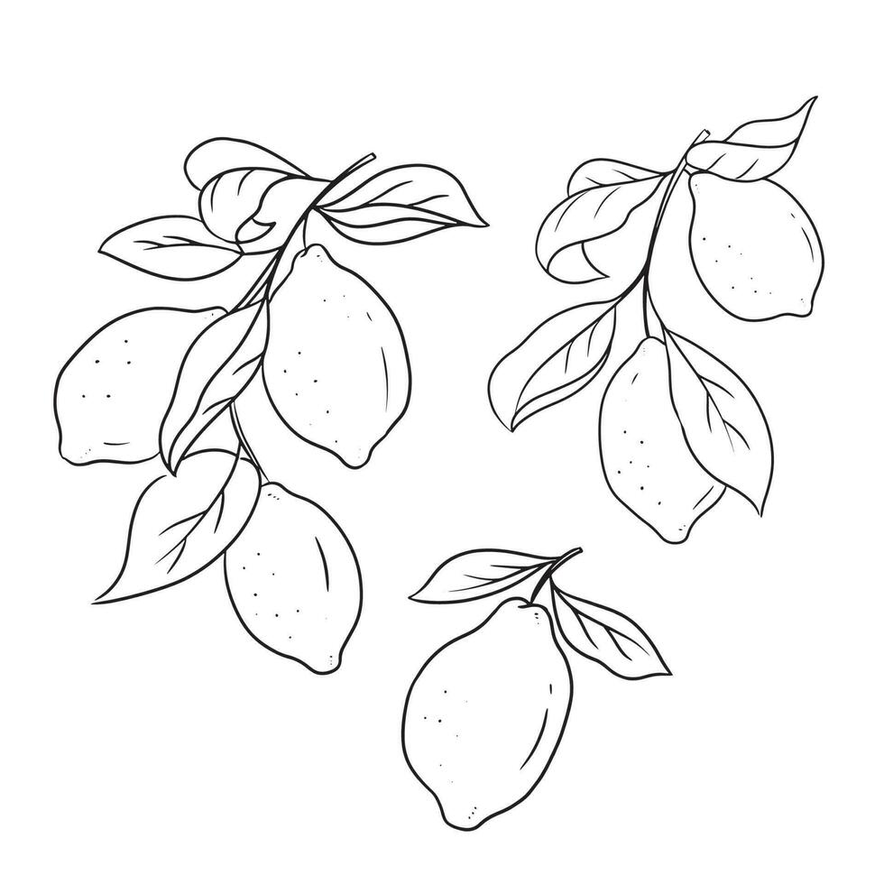 Lemon Brunch Hand Drawn Sketch vector