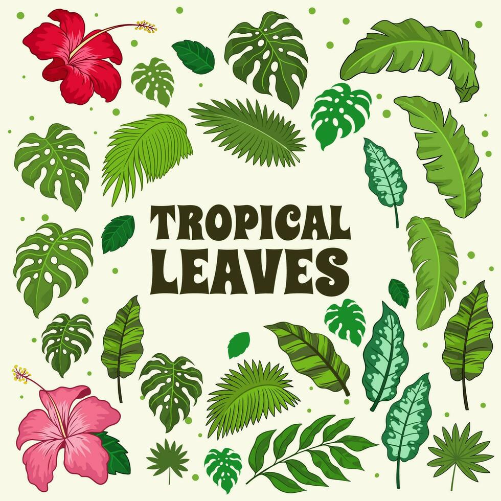 conjunto de tropical hojas dibujo vector