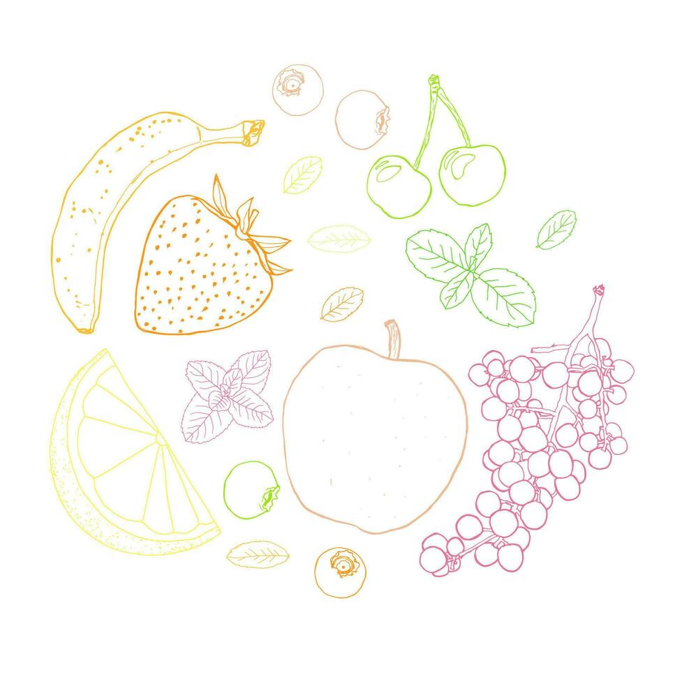 Fruit sketch art illustration circle composition vector