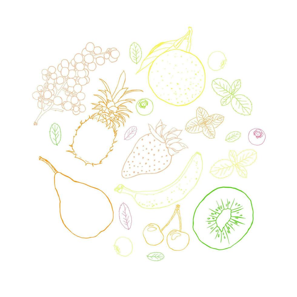 Fruit sketch art illustration circle composition vector