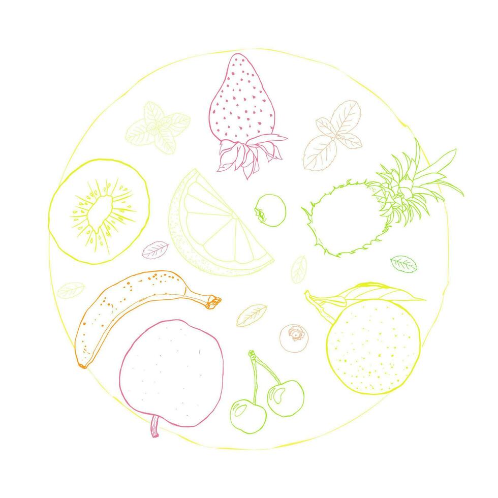 Fruits sketch art illustration circle vector
