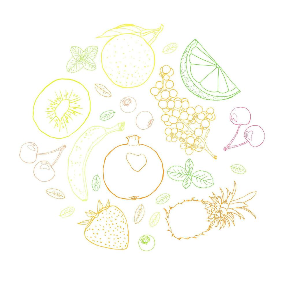 Fruit sketch art illustration circle composition vector