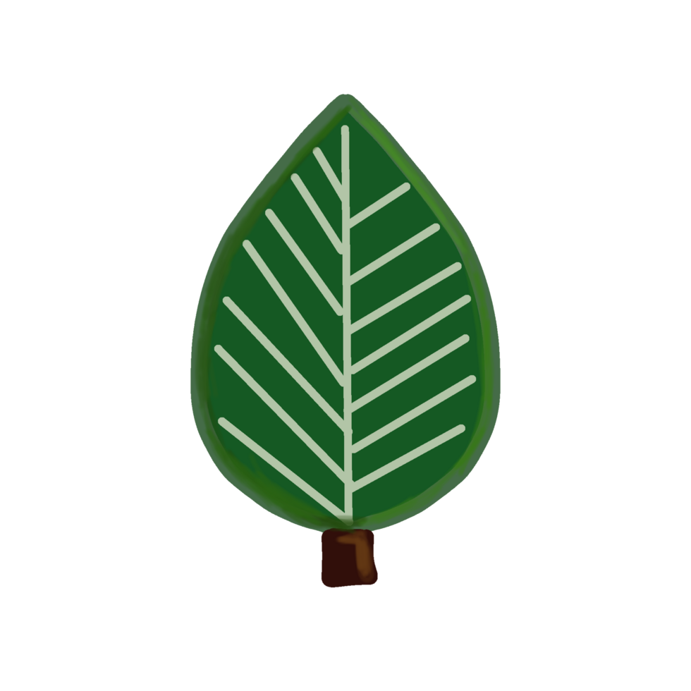 Tree png transparent background free for sticker. Hand drawn Green plant with branch flat design cute and simple