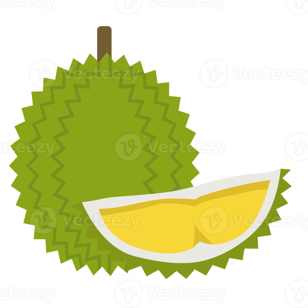 Durian in flat style png