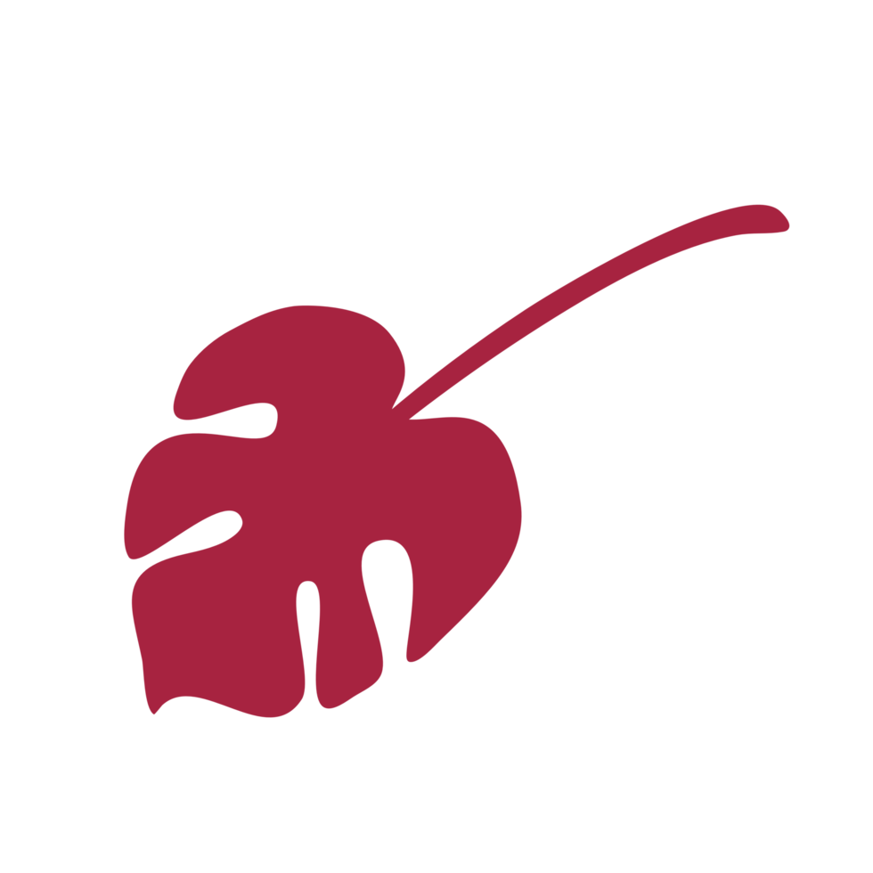 red monstera leaf png