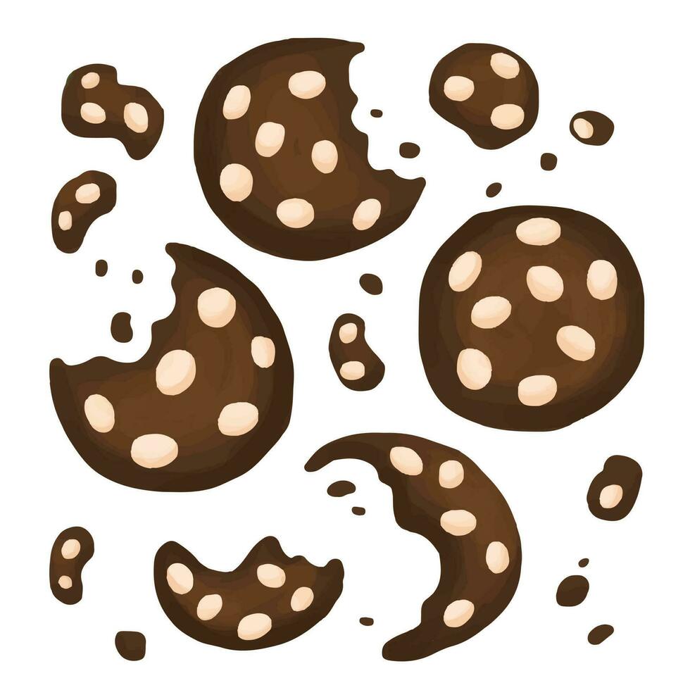 chocolate cookies with white chocolate chips cute vector