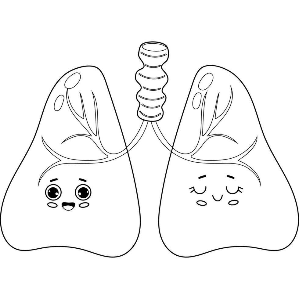 Character lungs. Human organ vector