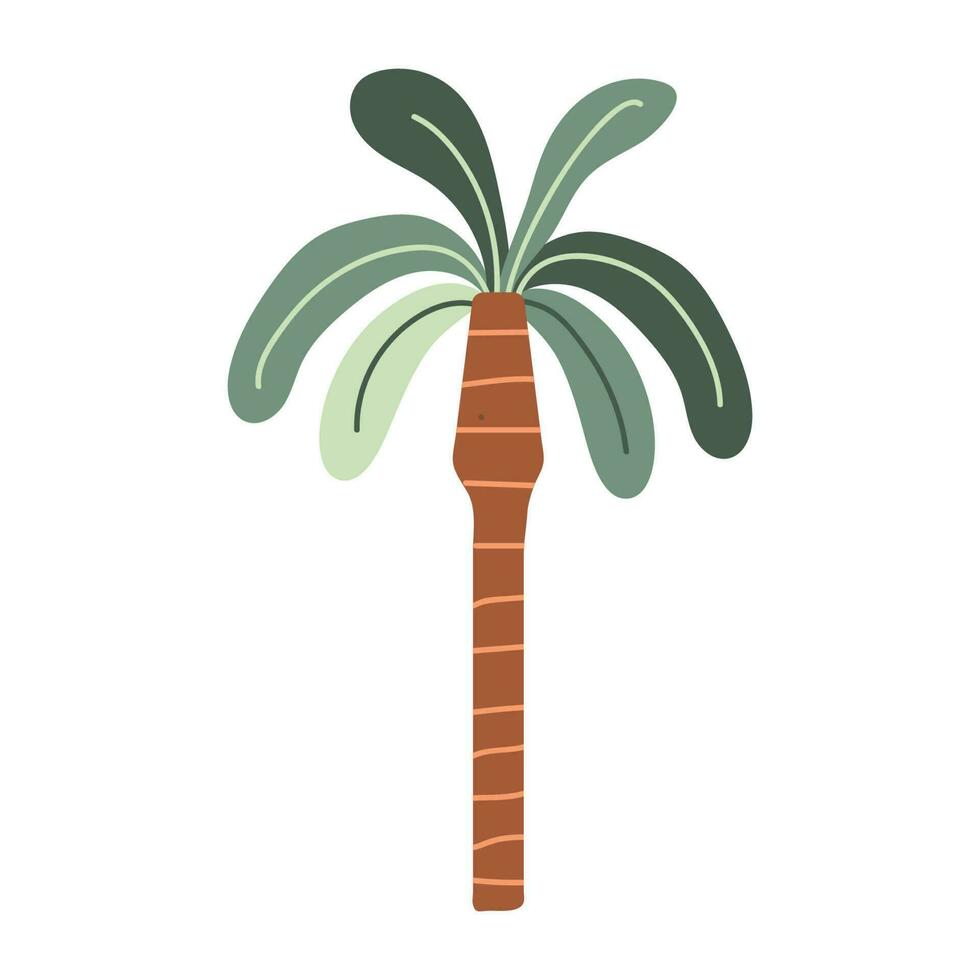 Flat style vector palm tree. Cute palm tree hand-drawn. Tropical African plant. White isolated background.