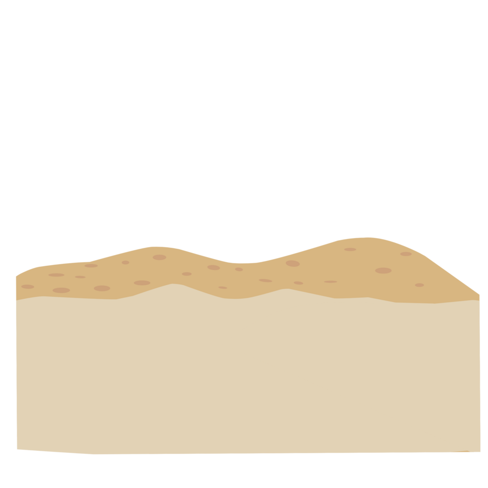 Organic sand illustation png