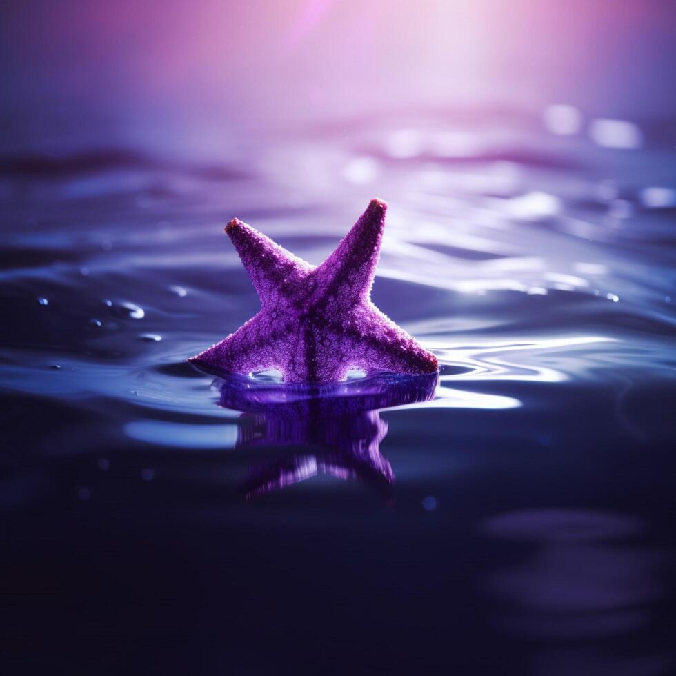 A star on the water with purple background photo