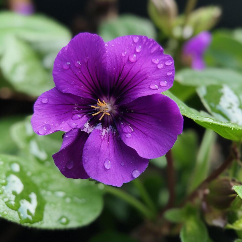 un púrpura flor con un verde hoja en eso ai generado foto