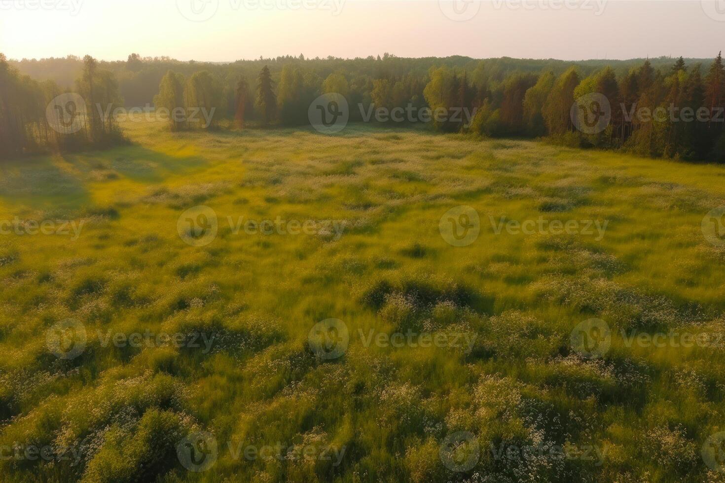 Mañana verano soleado prado paisaje aéreo generativo ai foto