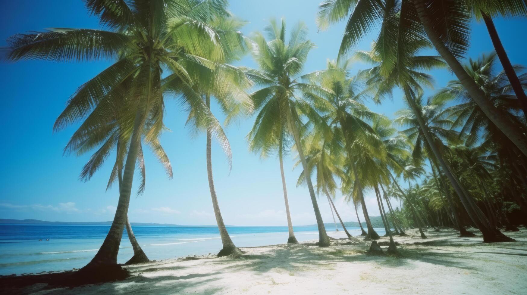 Tropical beach background. Illustration photo