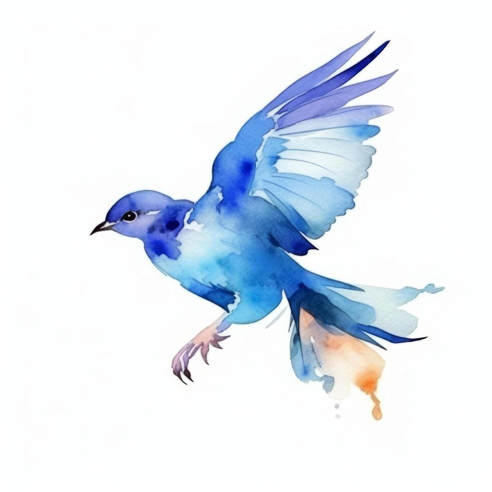 Watercolor blue bird. Illustration photo