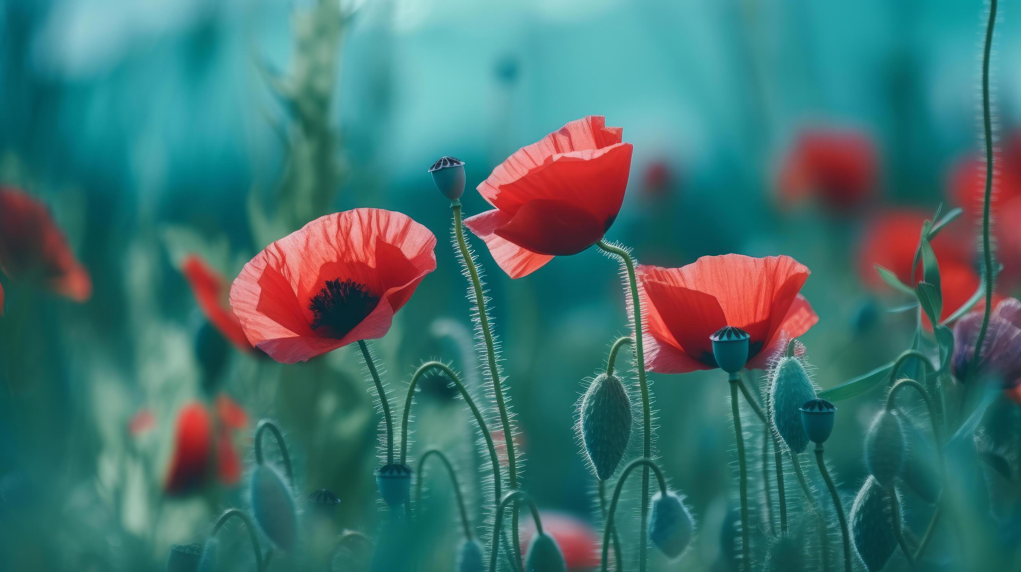 Red poppies background. Illustration AI Generative 23460520 Stock Photo
