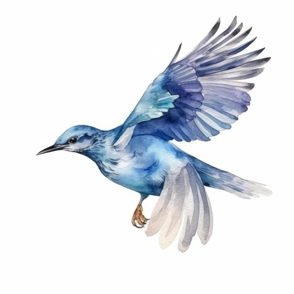 Watercolor blue bird. Illustration photo