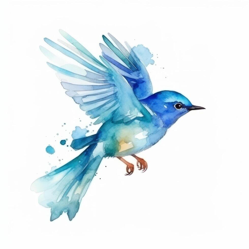 Watercolor blue bird. Illustration photo