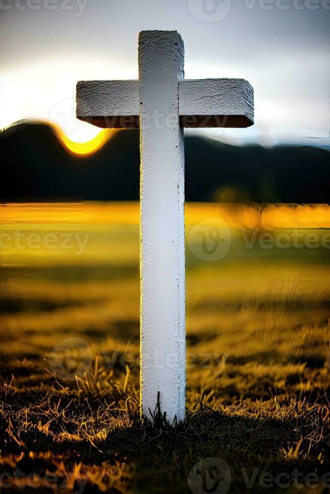 Nature's Sanctuary - A Wooden Church Amidst the Grassland photo