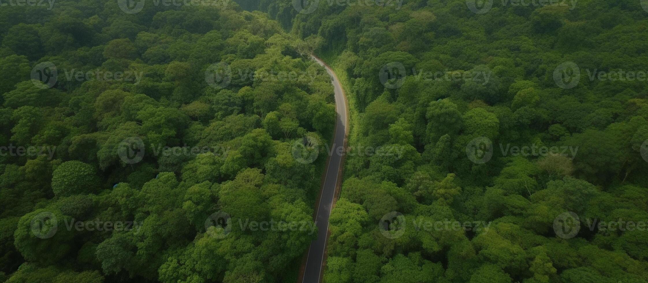 Aerial view of tropical forest with asphalt road cutting through forest, nature background. photo