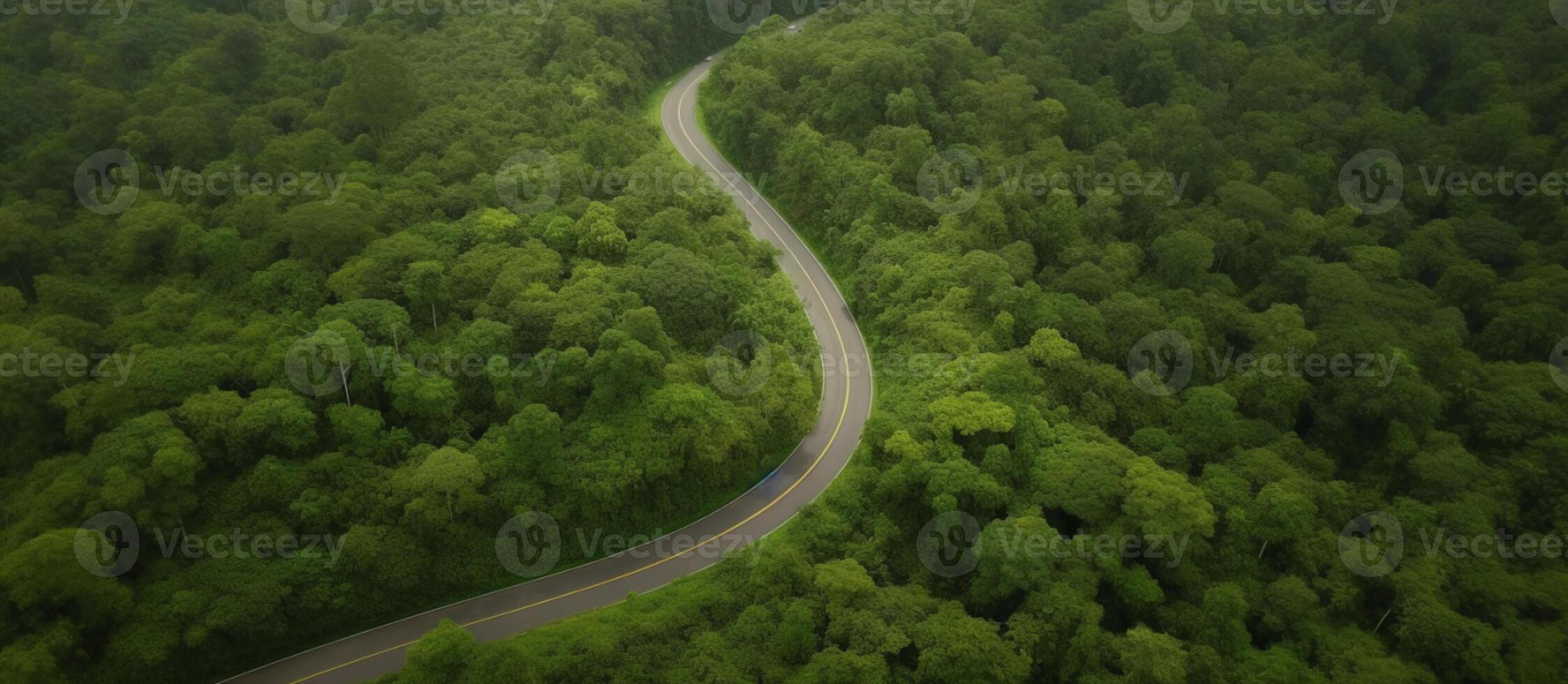 Aerial view of tropical forest with asphalt road cutting through forest, nature background. photo