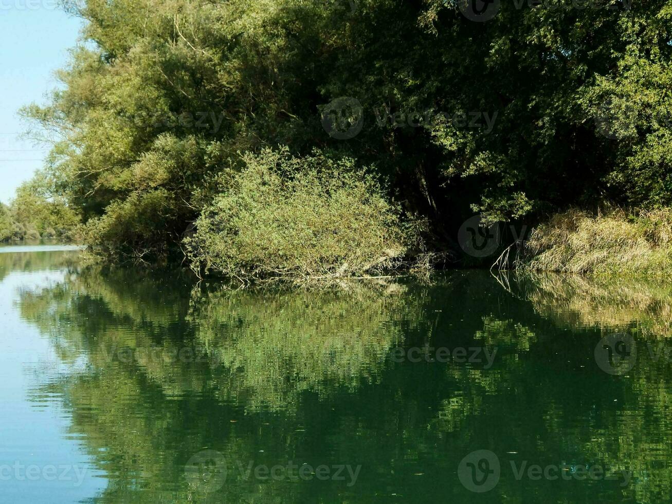 By the riverbank photo