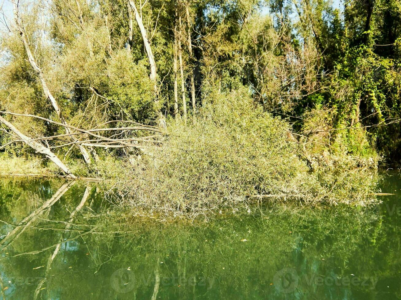 por el orilla del río foto