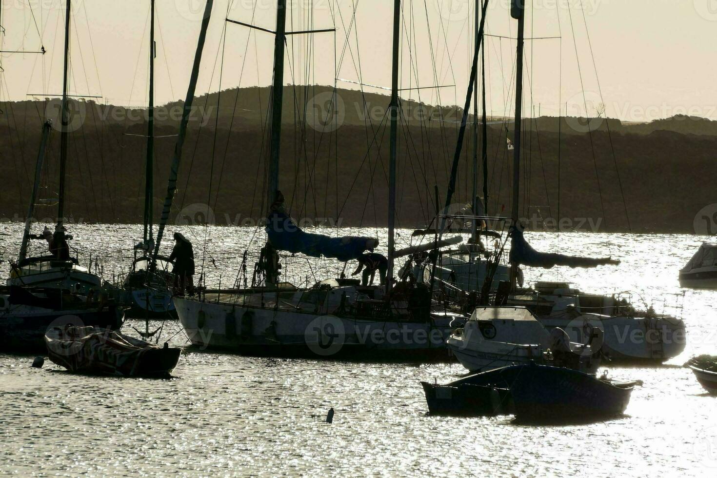 Ships in seaport photo