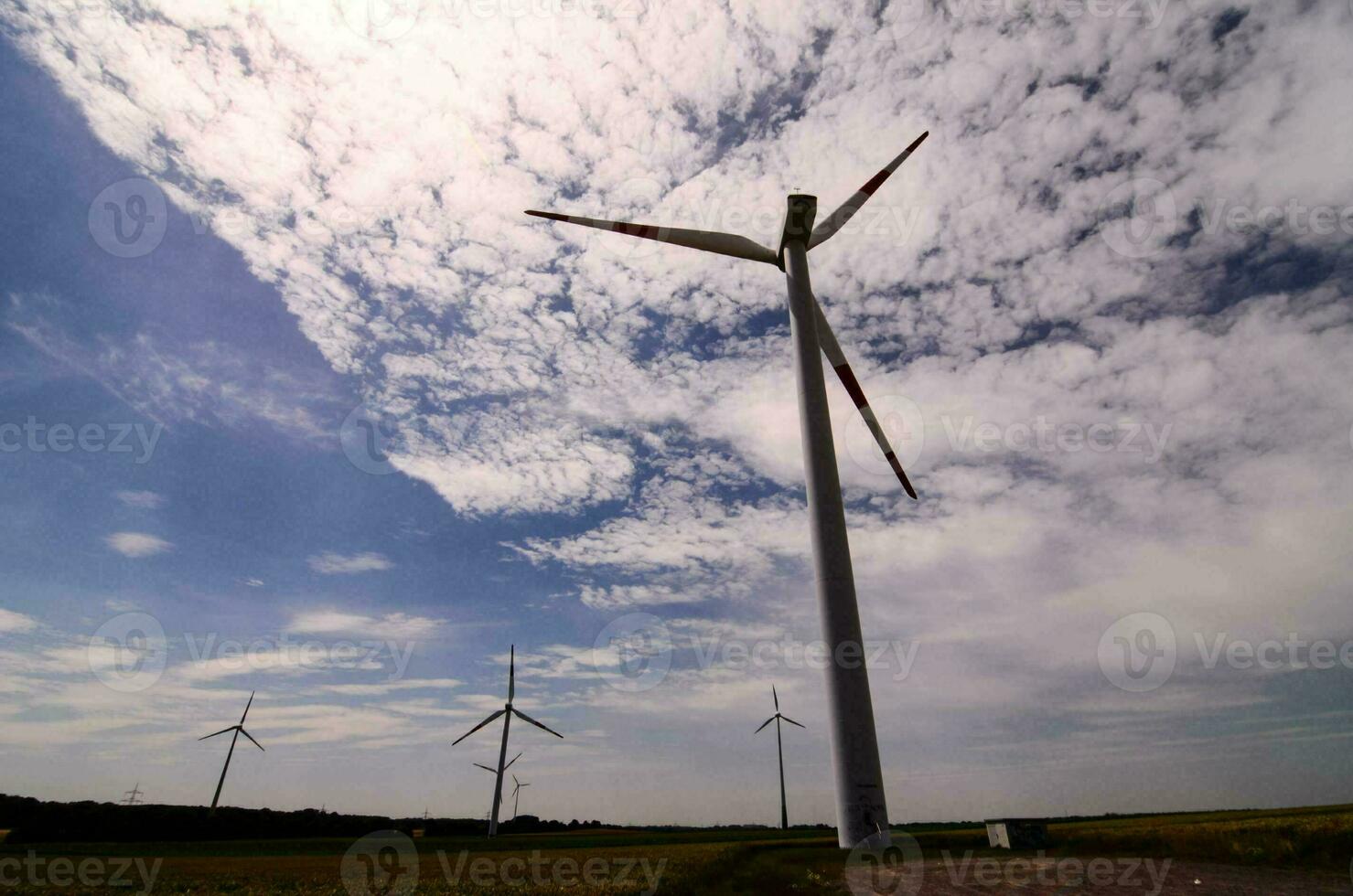 Field with windmills photo