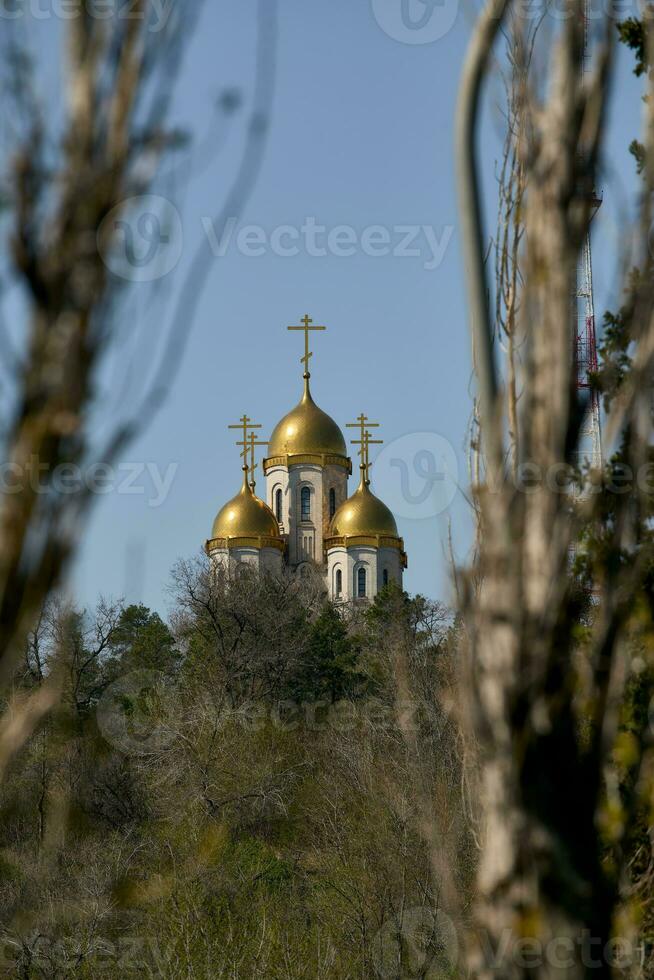 church through the trees photo