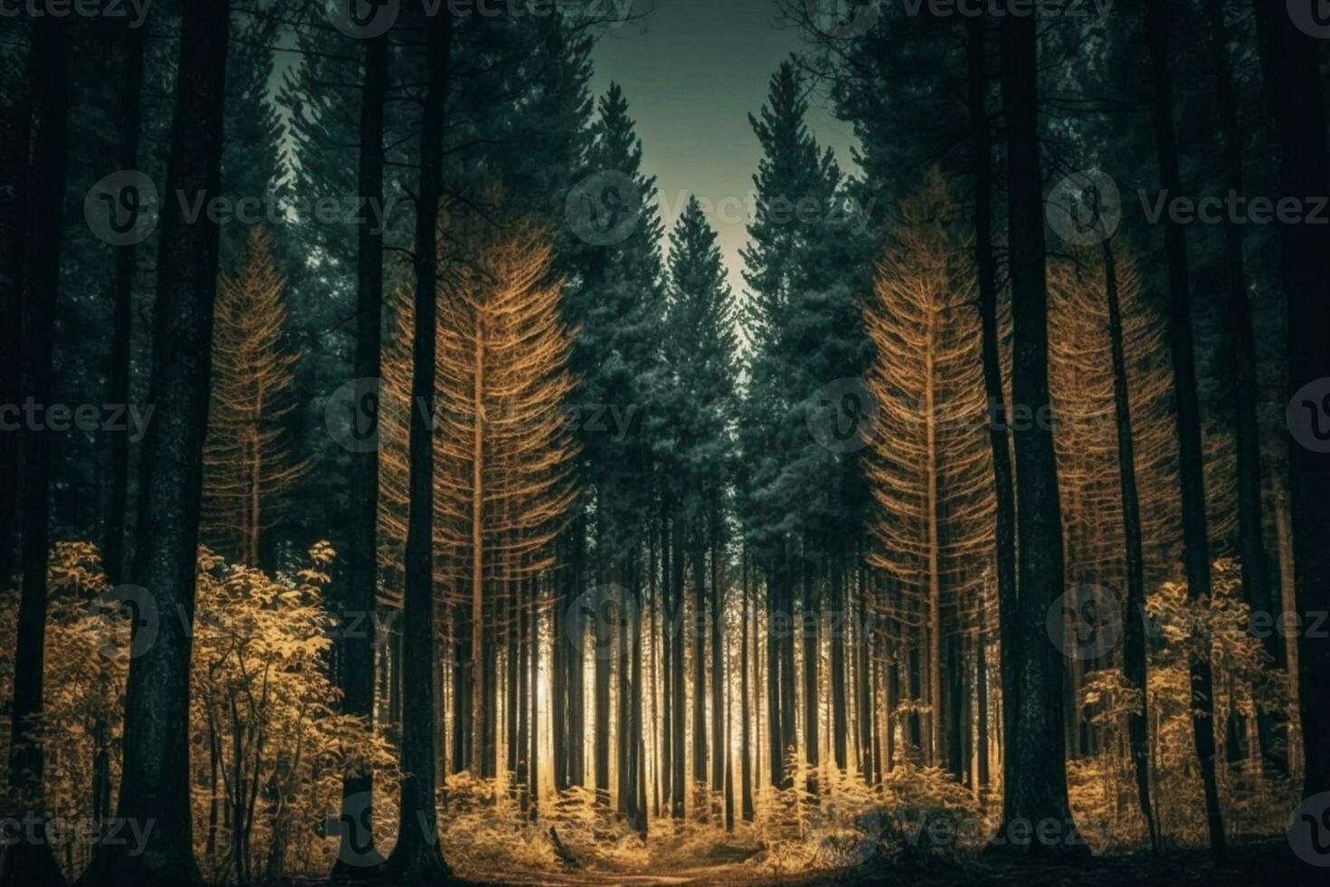 Beautiful forest with tall trees AI Generated photo