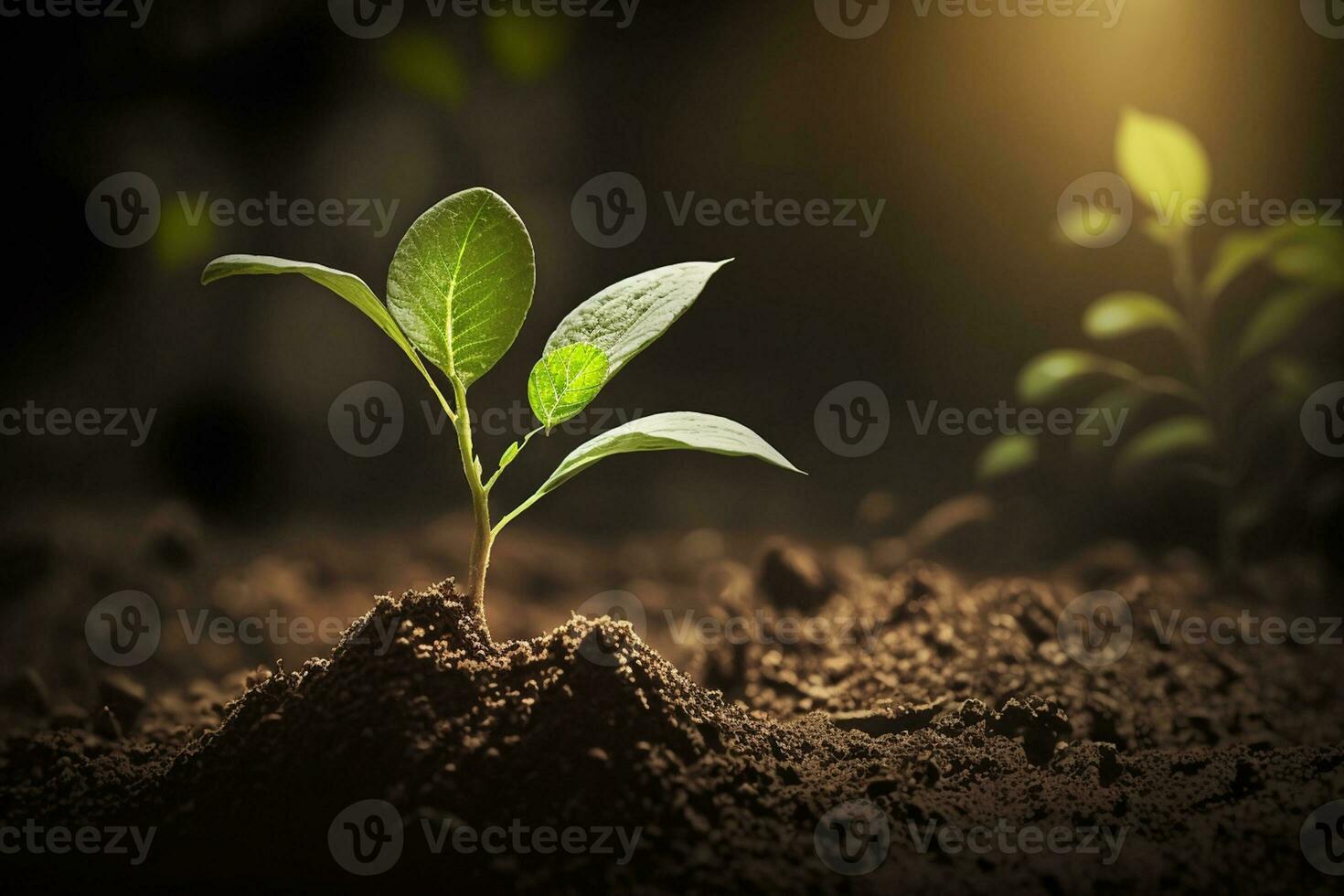 Young plant growing at sunlight. Saving environment, save clean planet, ecology concept.World Earth Day banner AI Generated photo